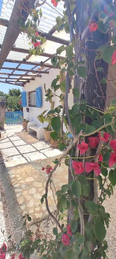 Sweet Old House Apartment Marsala Homestay