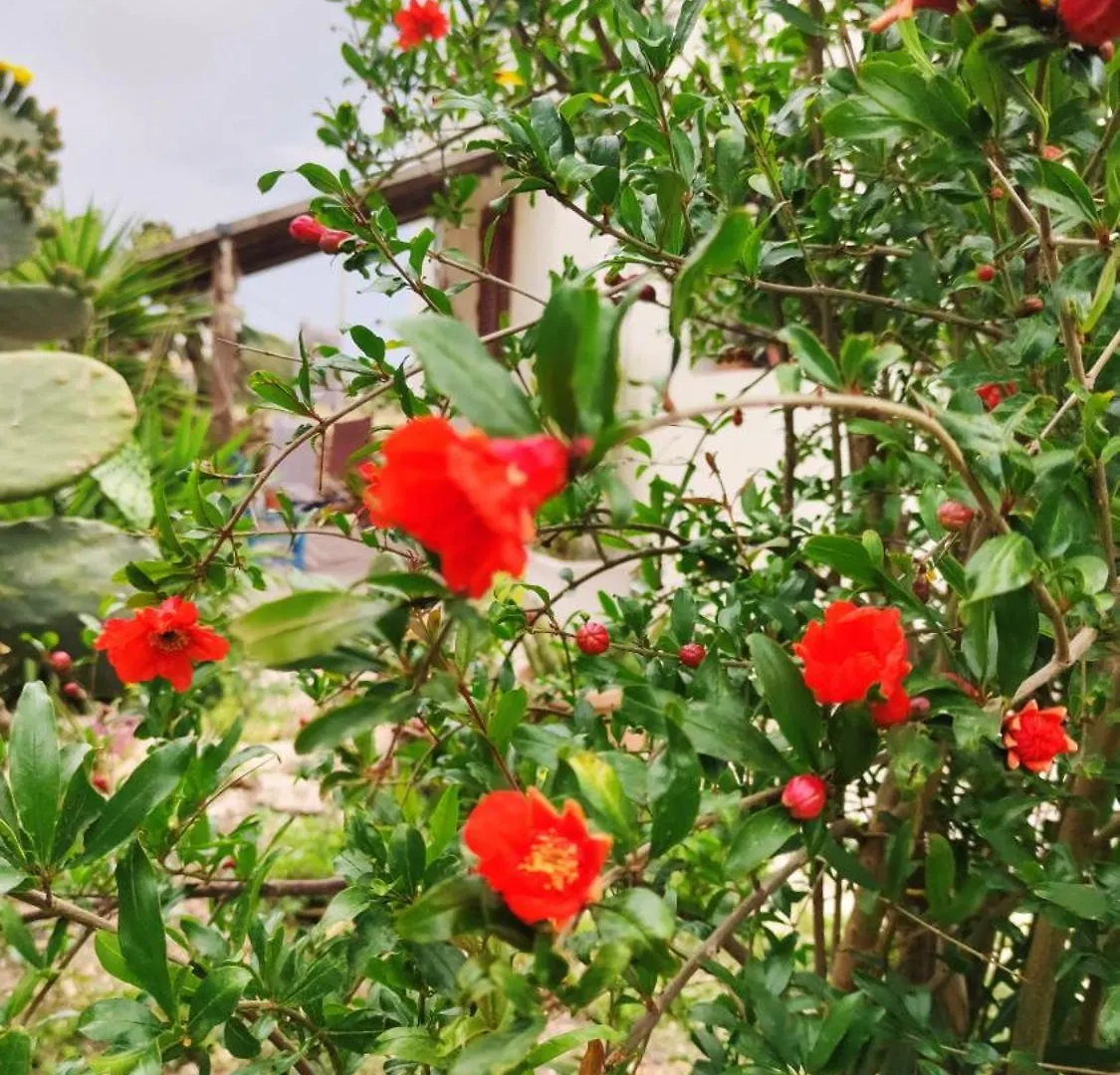 Sweet Old House Apartment Marsala Homestay