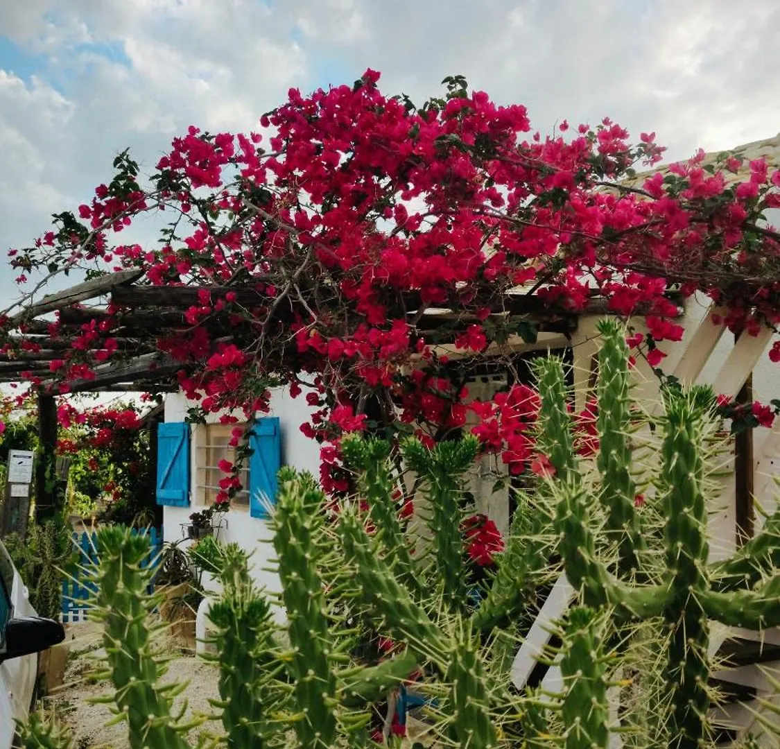 Sweet Old House Apartment Marsala Homestay